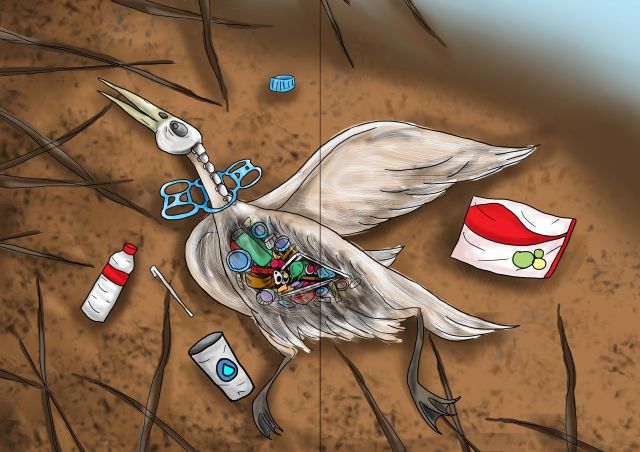 BILAL DI HUTAN BAKAU